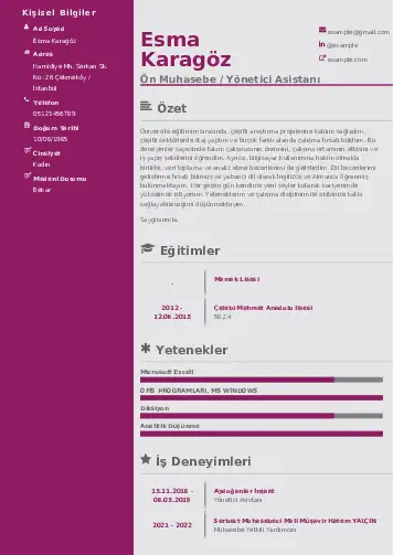 Yönetici Asistanı Cv Örnekleri cv indir